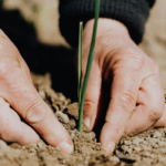 ¿QUÉ TIPO DE TIERRA ERES?